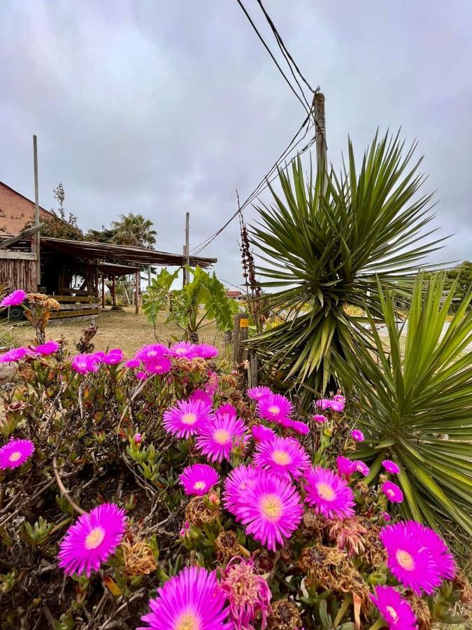 Aguas Dulces Hostel المظهر الخارجي الصورة